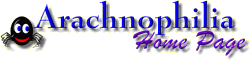 HTML-Editor: Arachnophilia 4.0